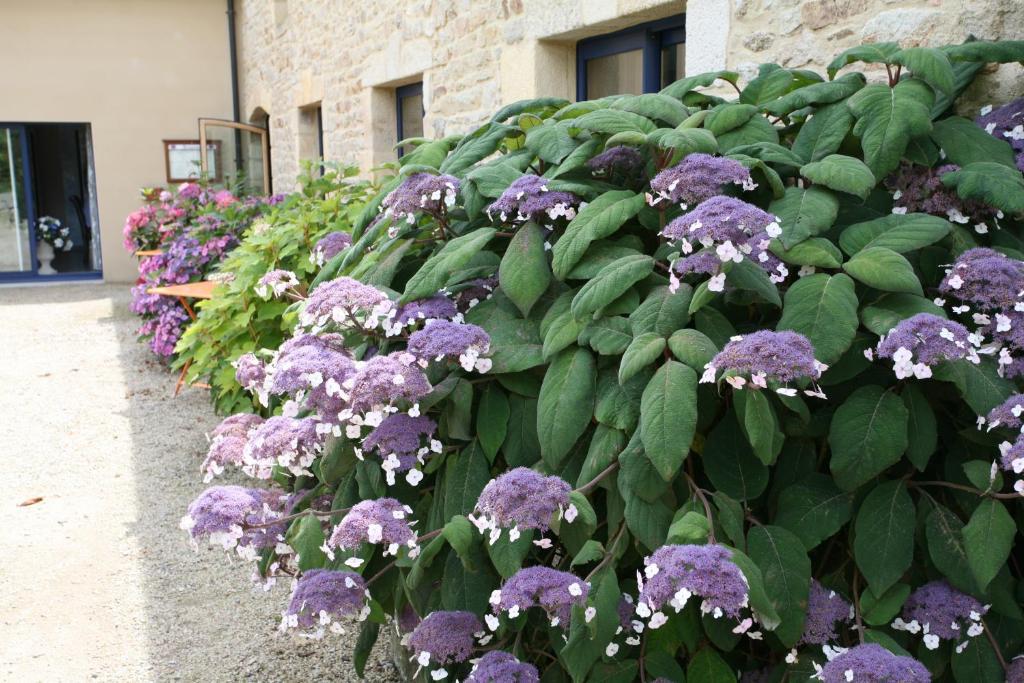 Hotel - Restaurant L'Hortensia Noyalo Zewnętrze zdjęcie
